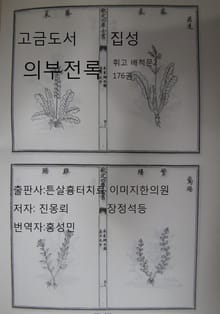 고금도서집성 의부전록 176권 배척문 2