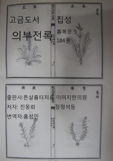 고금도서집성 의부전록 184권 흉복문 5
