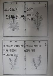 고금도서집성 의부전록 184권 흉복문 5