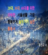 20대, 30대, 40대를 위한 각박한 서울생활 가장 행복하게 살아가기 실전 활용서 표지 이미지