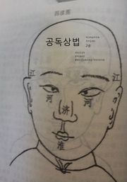 공독상법 2