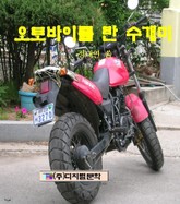 오토바이를 탄 수개미 표지 이미지