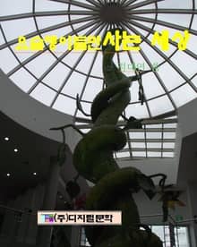 요술쟁이들만 사는 세상