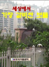 세상에서 가장 값비싼 보물 표지 이미지