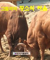 고릴라와 황소의 싸움 표지 이미지