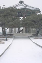 뚜벅뚜벅 걷는 사진쟁이 표지 이미지