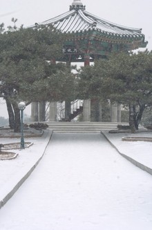 뚜벅뚜벅 걷는 사진쟁이
