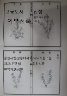 고금도서집성 의부전록 휘고 175권 배척문 1