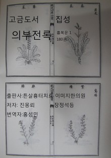 고금도서집성 의부전록 180 흉복문1