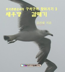 새우깡 갈매기