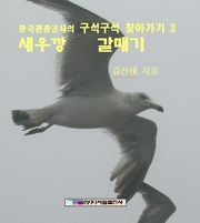 새우깡 갈매기