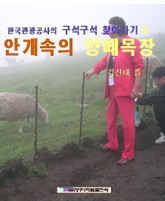 안개 속의 양떼목장 표지 이미지