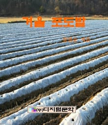 겨울 포도밭