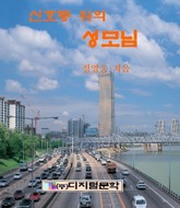 신호등 위의 성모님 표지 이미지