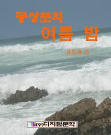 몽산포의 여름밤