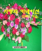 사랑의 카네이션 표지 이미지