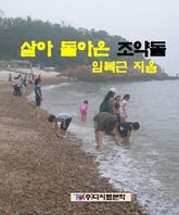 살아 돌아 온 조약돌 표지 이미지