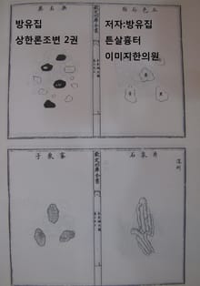 방유집 상한론조변 2