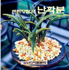 팬티양말과 난화분