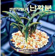 팬티양말과 난화분