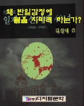 왜 반일감정에 불 지피려는가? 표지 이미지