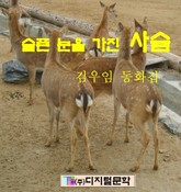 슬픈 눈을 가진 사슴 표지 이미지