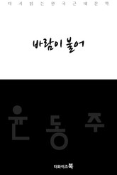 바람이 불어 표지 이미지