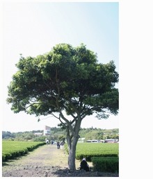 여행 그리고 사진 한장의 추억