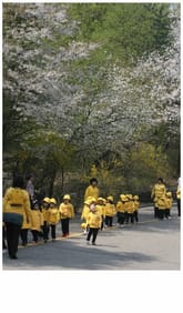 사진으로 이야기 하다 표지 이미지