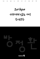 고아형제, 사라지지 않는 기억, 소년고수 표지 이미지