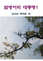 밤벙어리 대통령 1 표지 이미지