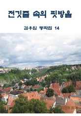 전깃줄 속의 핏방울 표지 이미지