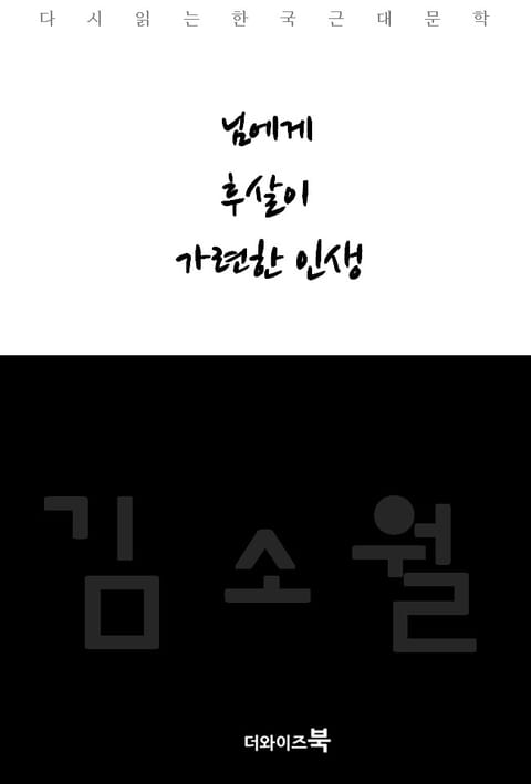 님에게, 후살이, 가련한 인생 표지 이미지