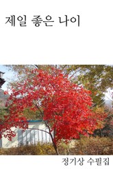 제일 좋은 나이 표지 이미지