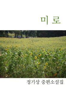미로