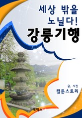 세상 밖을 노닐다! 강릉기행 표지 이미지