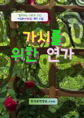 가시를 위한 연가 표지 이미지