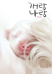 개랑 나랑
