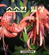 소소한 일상 표지 이미지