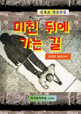 미친 뒤에 가는 길 표지 이미지