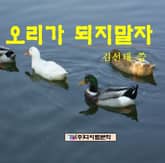 오리가 되지 말자 표지 이미지