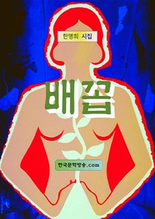 배꼽