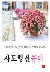 사도행전큐티 표지 이미지