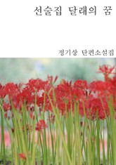 선술집 달래의 꿈 표지 이미지