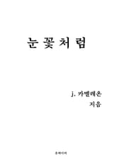 눈꽃처럼 표지 이미지