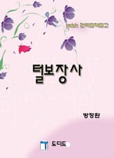 털보장사 표지 이미지