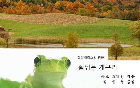 뜀뛰는 개구리 표지 이미지