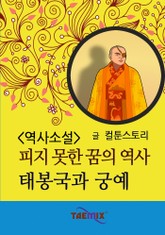 역사소설 - 피지 못한 꿈의 역사 태봉국과 궁예 표지 이미지