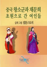 중국 왕소군과 채문희 - 초원으로 간 여인들 표지 이미지