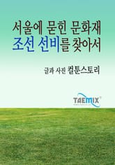 서울에 묻힌 문화재 조선 선비를 찾아서 표지 이미지